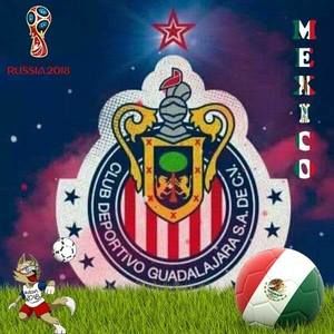 Meet your Posher, Beverly